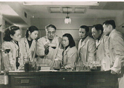 1950年，著名微生物藥物學(xué)家，后任上海醫(yī)藥工業(yè)研究院抗生素室主任、副院長(zhǎng)、名譽(yù)院長(zhǎng)的童村，與科研人員開(kāi)展課題研究