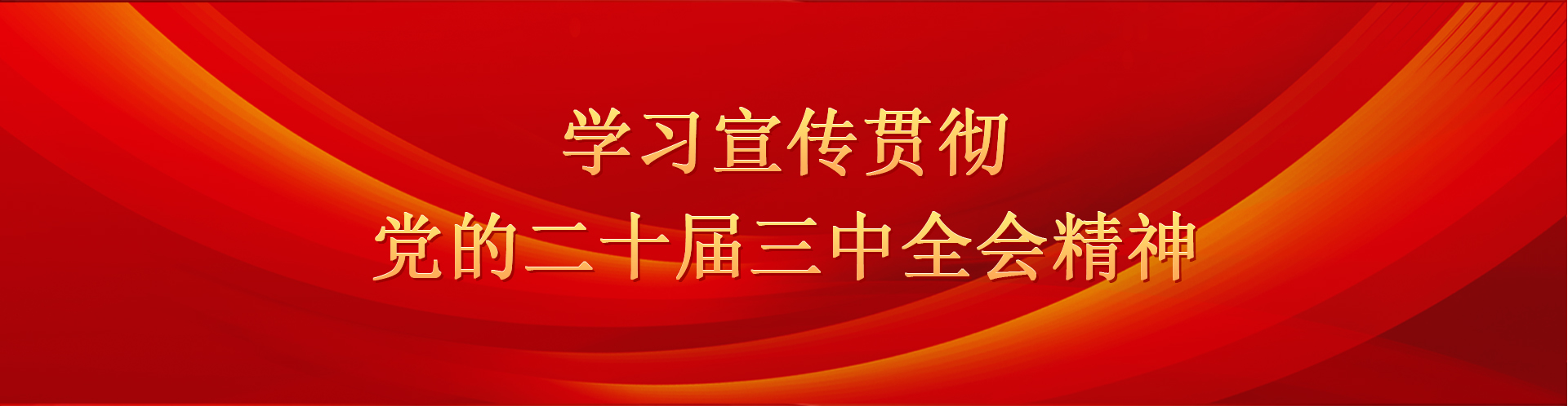 學(xué)習(xí)宣傳貫徹黨的二十屆三中全會(huì)精神